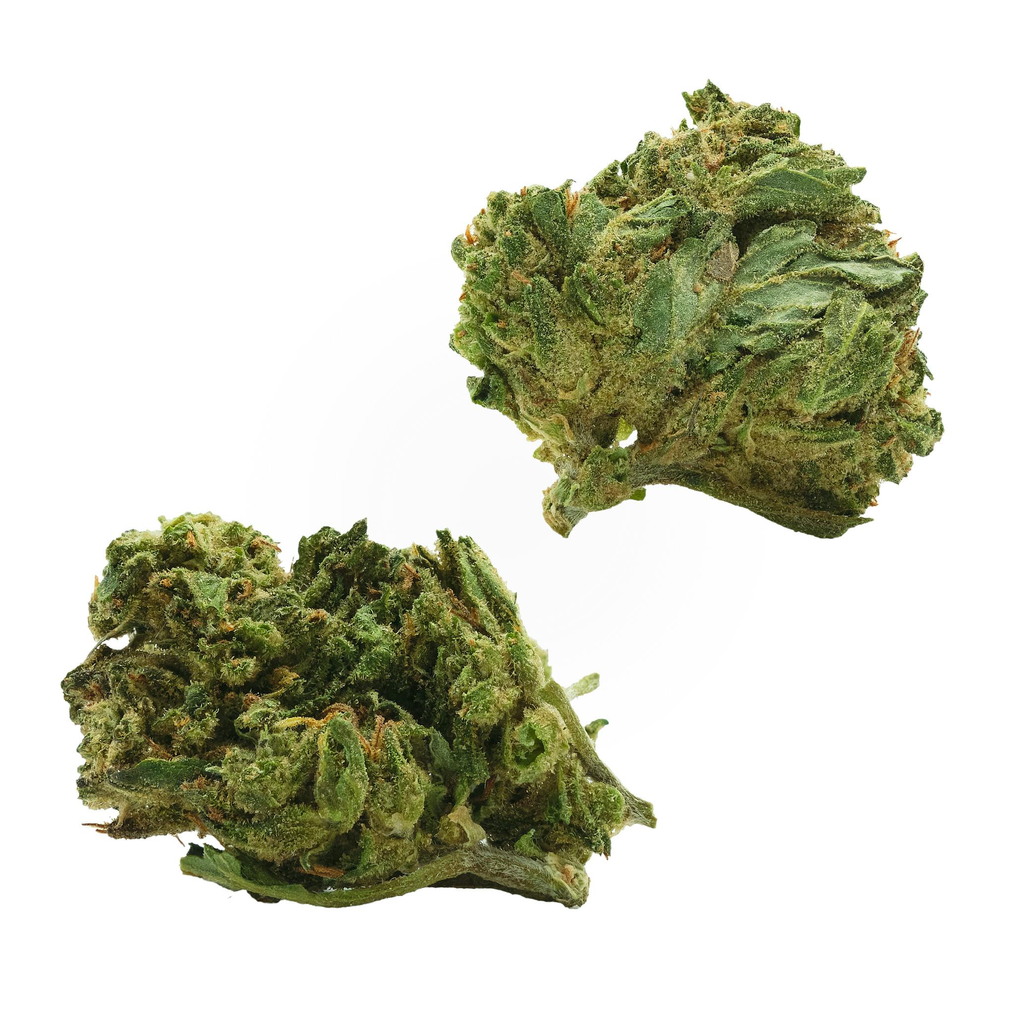 Motorbreath Outdoor Flower