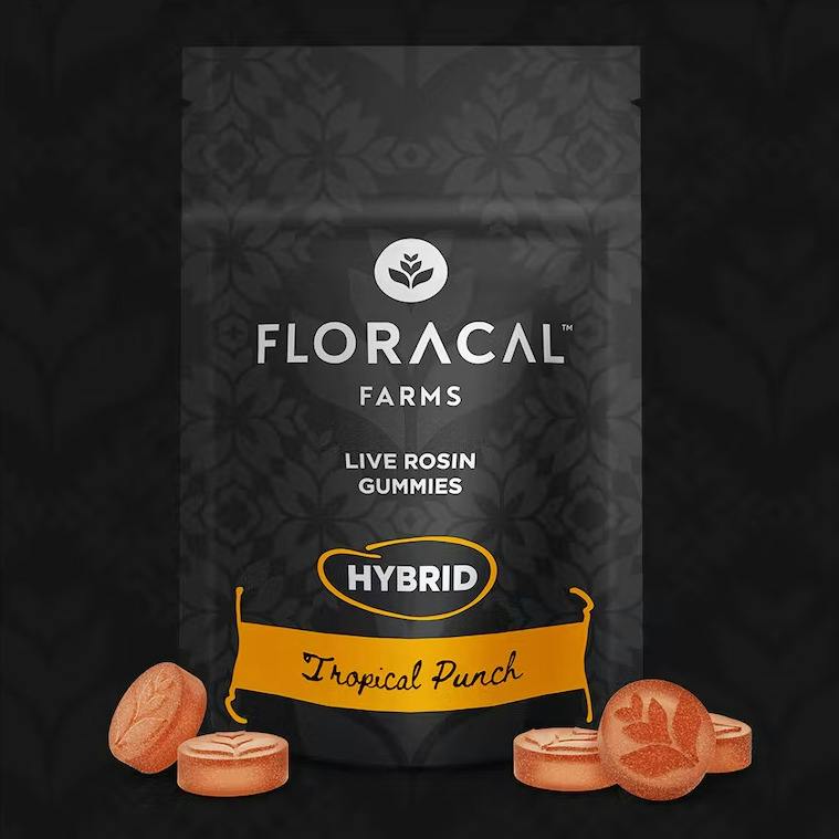 Live Rosin Tropical Punch Gummies 100mg (10-Pack | 10mg Each)