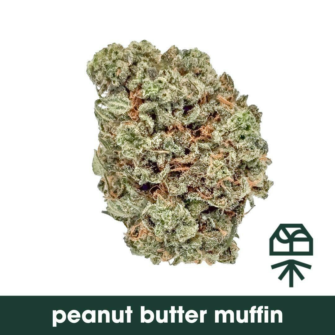 Peanut Butter Muffin