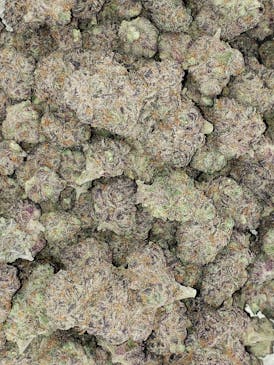 MIMOSA 3.5G (S) 31.08%THC