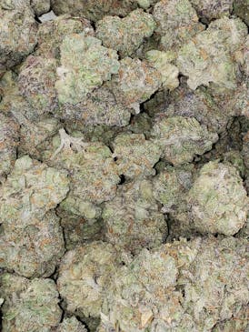 Z-PIE 3.5G (I) 31.32%