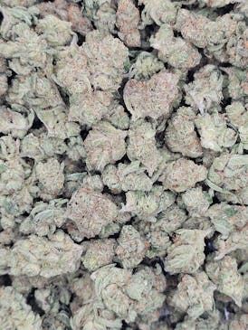 SUPER SILVER HAZE SMALLS (S) 7G 26.22%