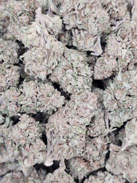 MOLOTOV (H) 3.5G 26.79%