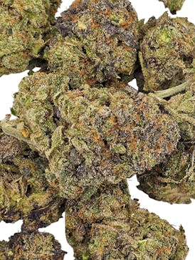 COCO MELONZ (H) 14G 35.50%THC