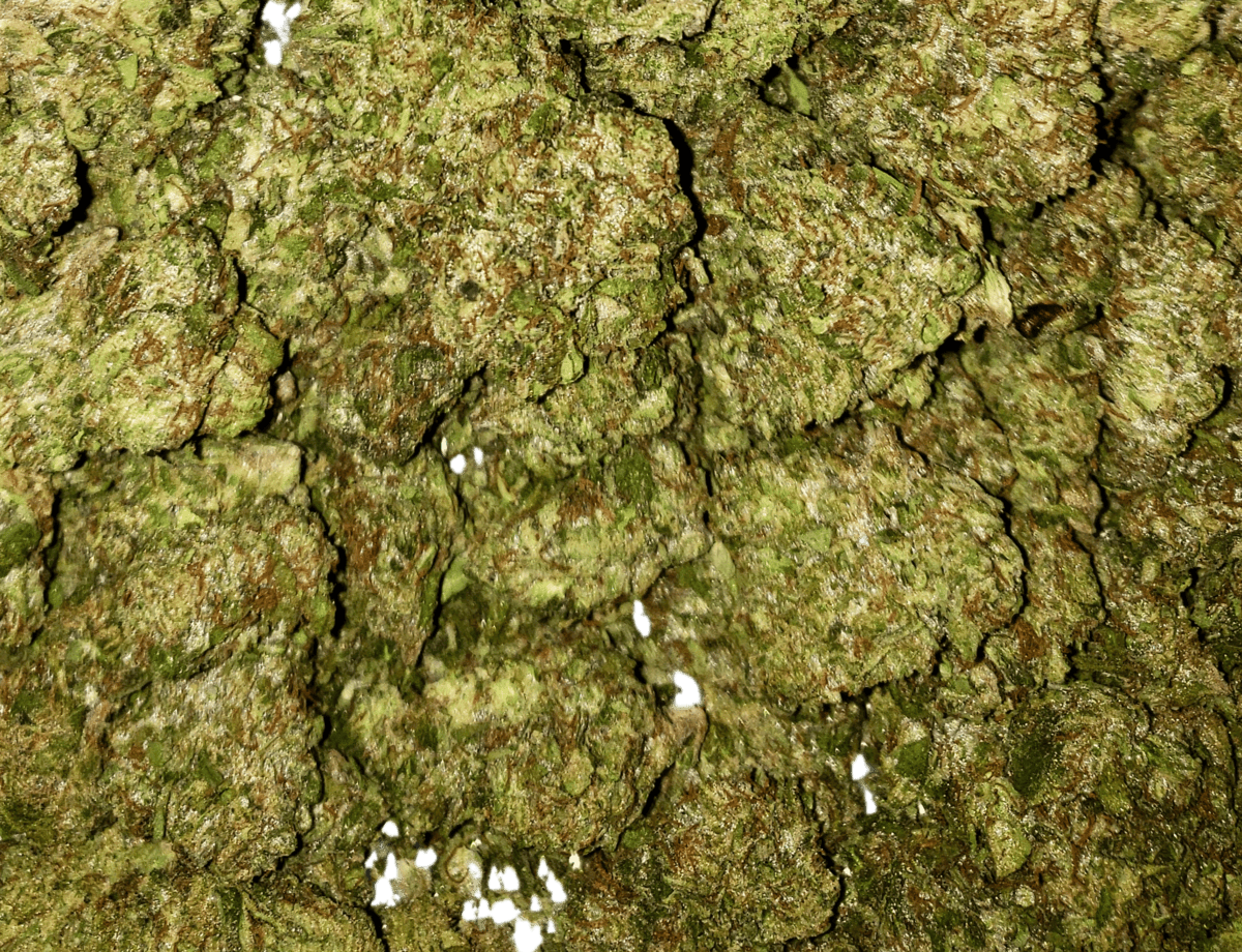 CHICKEN N WAFFLES (I) 3.5G 26.23% - 3.5 g