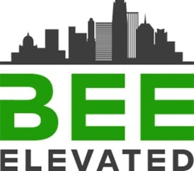 Bee Elevated - Pineapple Burst - 1ml FECO Syringe
