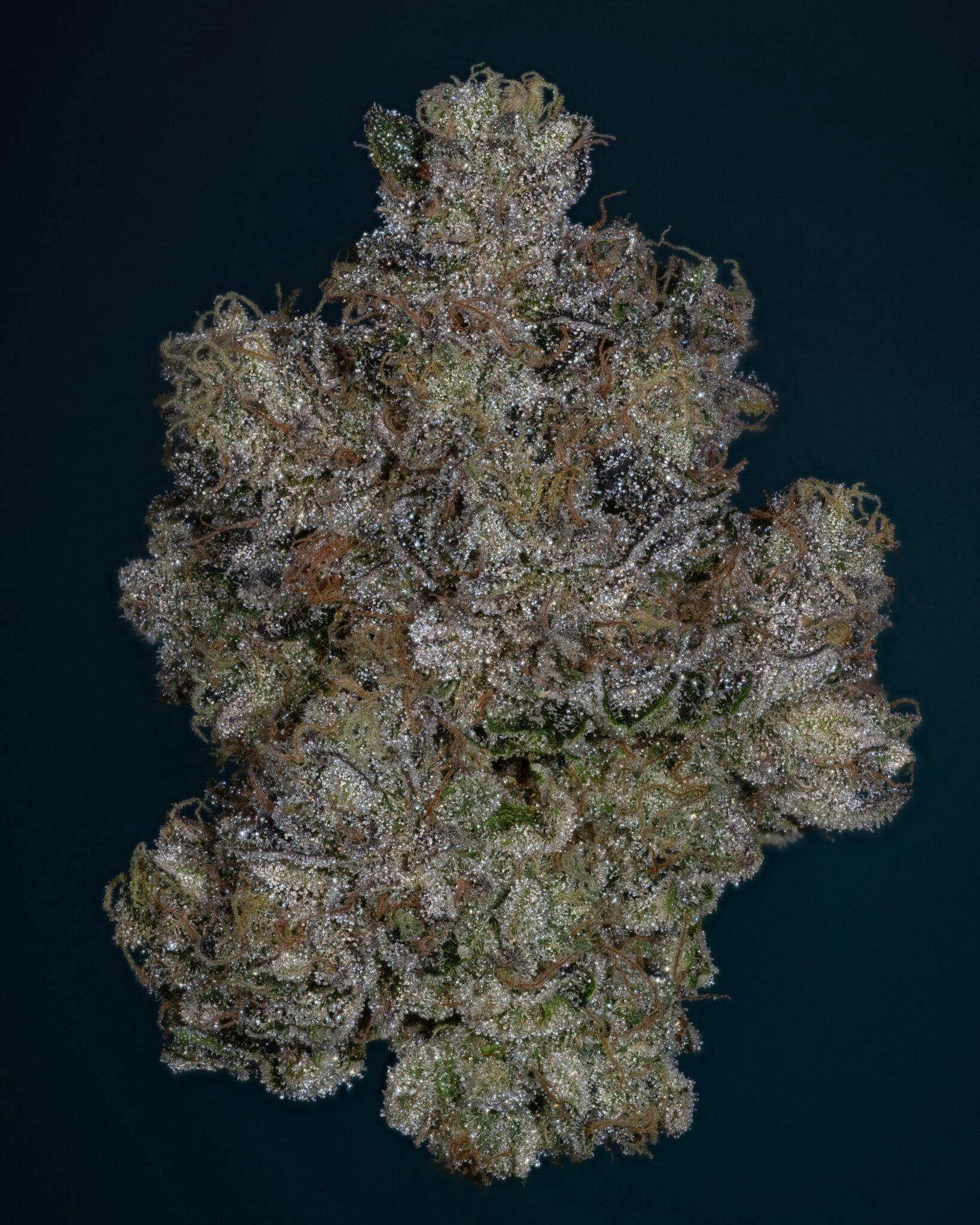 Thicc - Jeff Gordon - 14g Prepackaged Flower