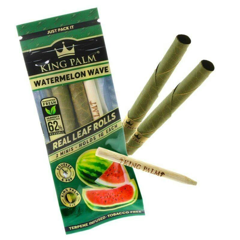 King Palm - Leaf Rolls