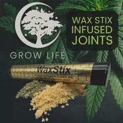 WaxStix Infused Joint GG4 1g (REC)