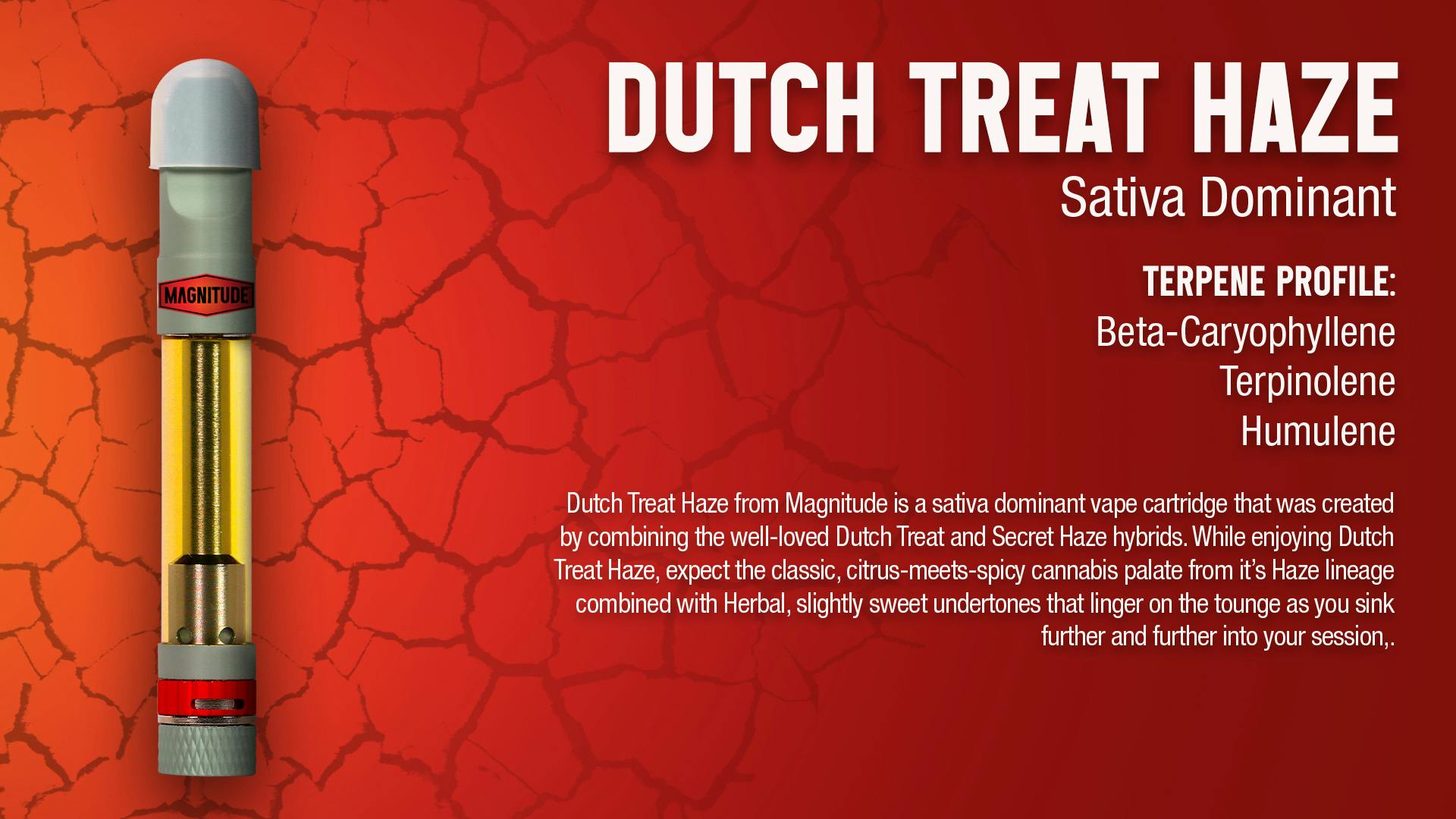 Magnitude Dutch Treat Haze Cartridge