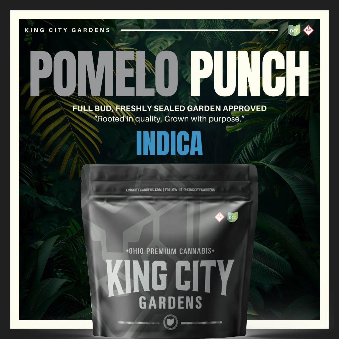 King City Gardens - Pomelo Punch - Smalls - [3.5g]
