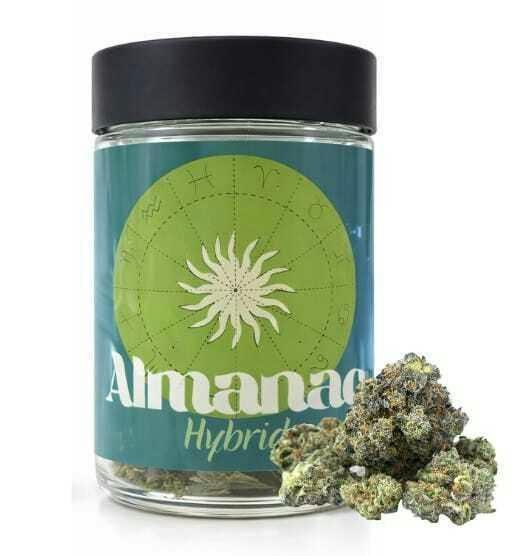 Almanac - Headband 7g Almanac