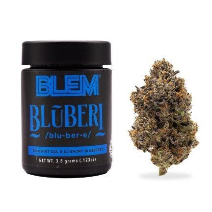 BLEM BLUBERI 3.5g by BLEM