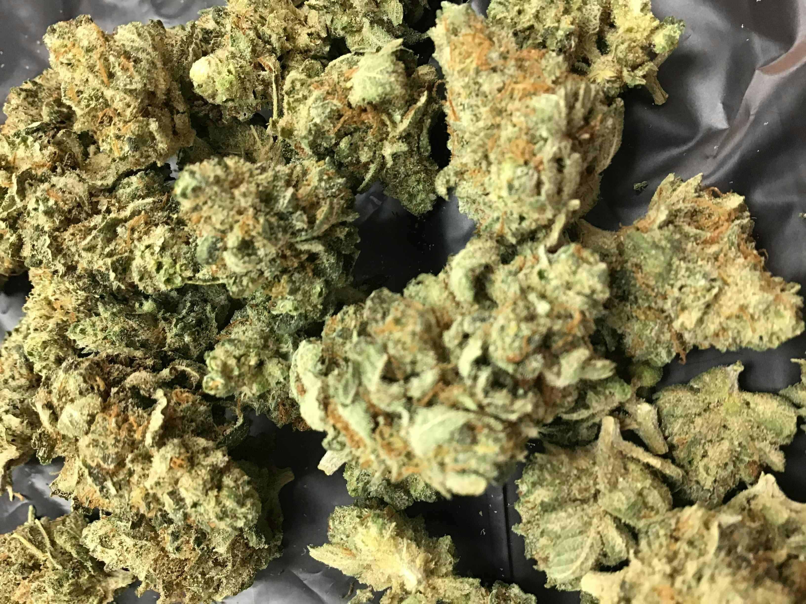 Chocolope
