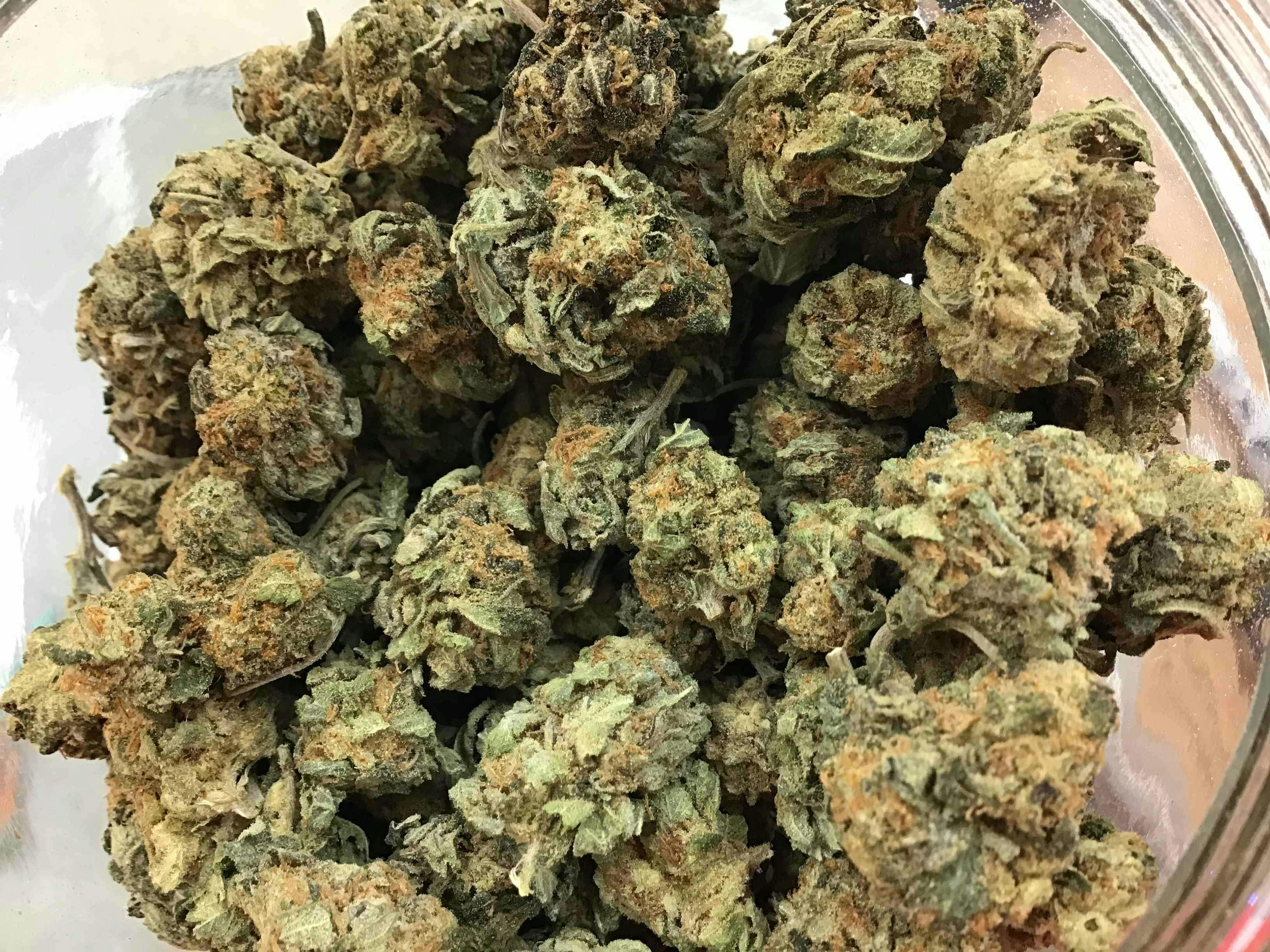 Girl Scout Cookies