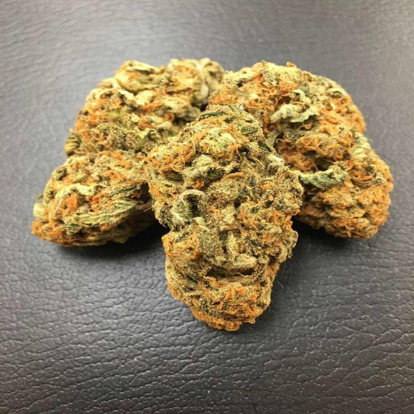 Northern Lights