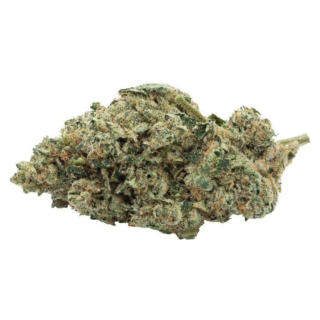 SAN RAFAEL '71 - Lemon Rocket - Lemon Rocket 3.5g Dried Flower