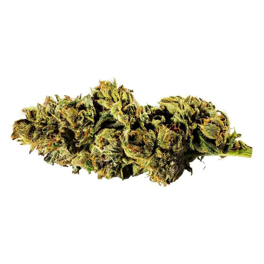 REDECAN - Mint Chip Gelato - Mint Chip Gelato 3.5g Dried Flower