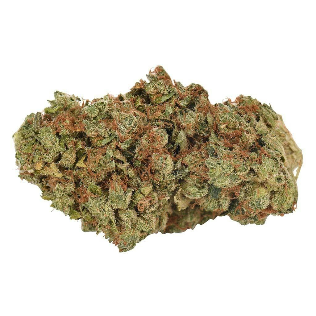 HAVEN ST. PREMIUM CANNABIS - G-13 Nepali - G-13 Nepali 3.5g Dried Flower