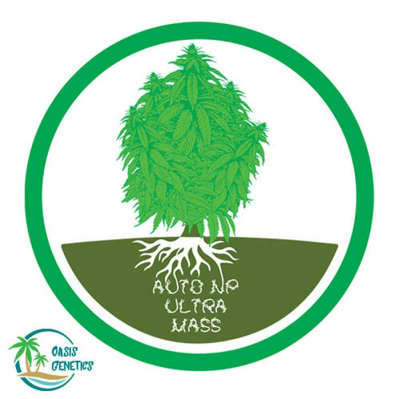 Auto NP Ultra Mass Feminized (Oasis Genetics) 4pk