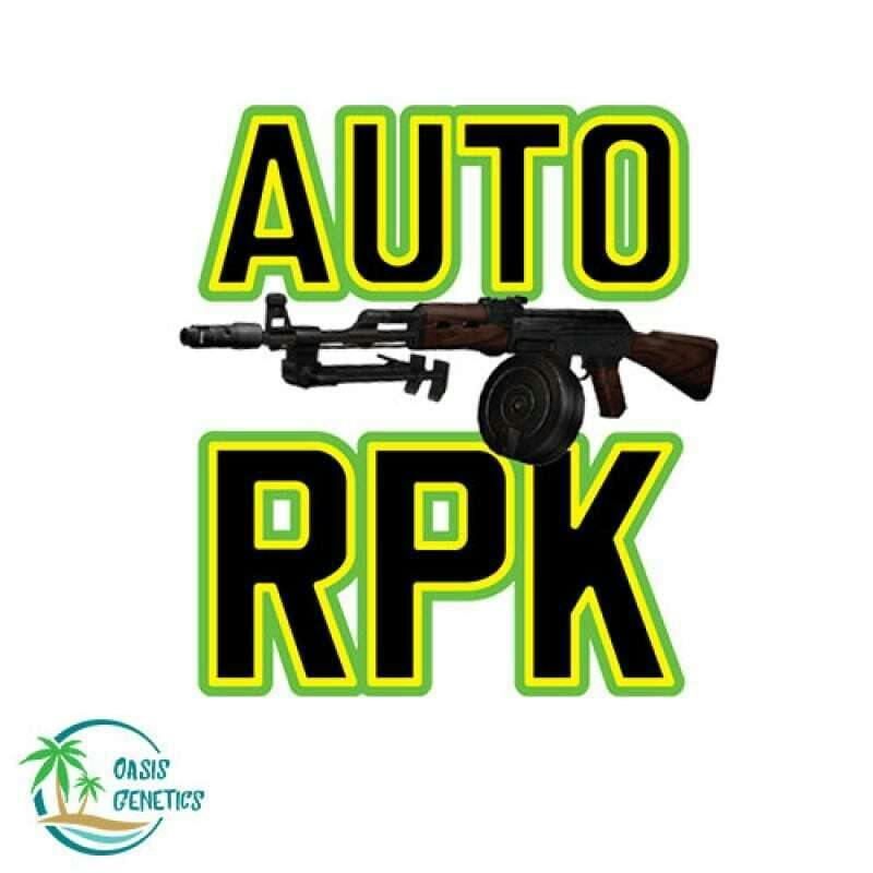 Auto RPK Feminized(Oasis Genetics) 4pk
