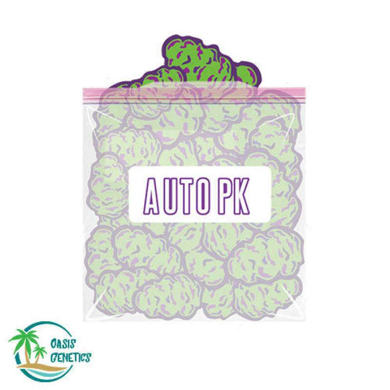 Auto PK Feminized (Oasis Genetics) 4pk
