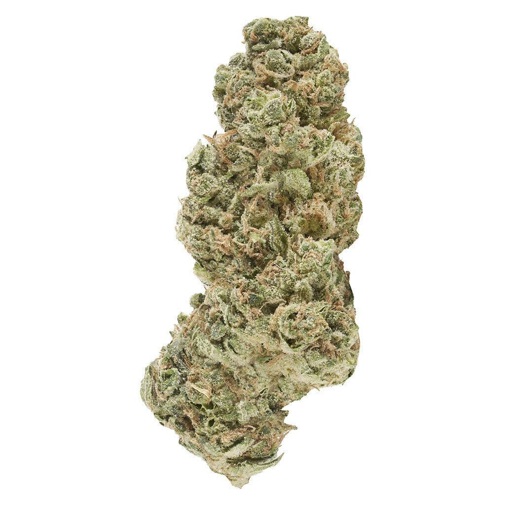 CANACA - Ghost Gelato - Ghost Gelato 28g Dried Flower