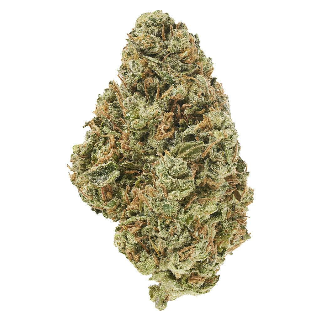 CANACA - Alien Guy - Alien Guy 28g Dried Flower