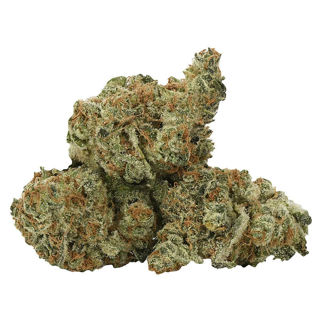 -NESS - Bermuda Sour - Bermuda Sour 7g Dried Flower
