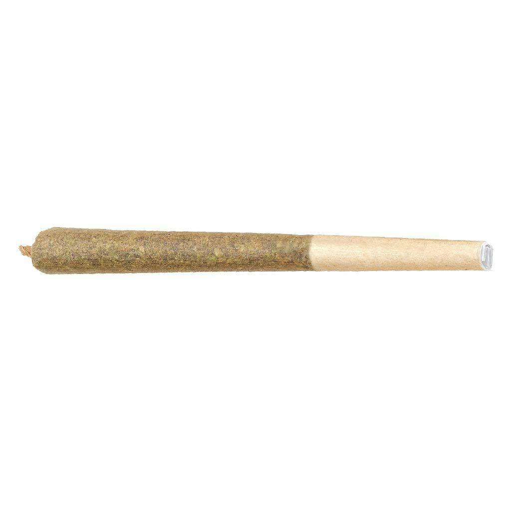 BUD LAFLEUR - Moby Dick Pre-Roll - Moby Dick Pre-Roll 1x1g Pre-Rolls