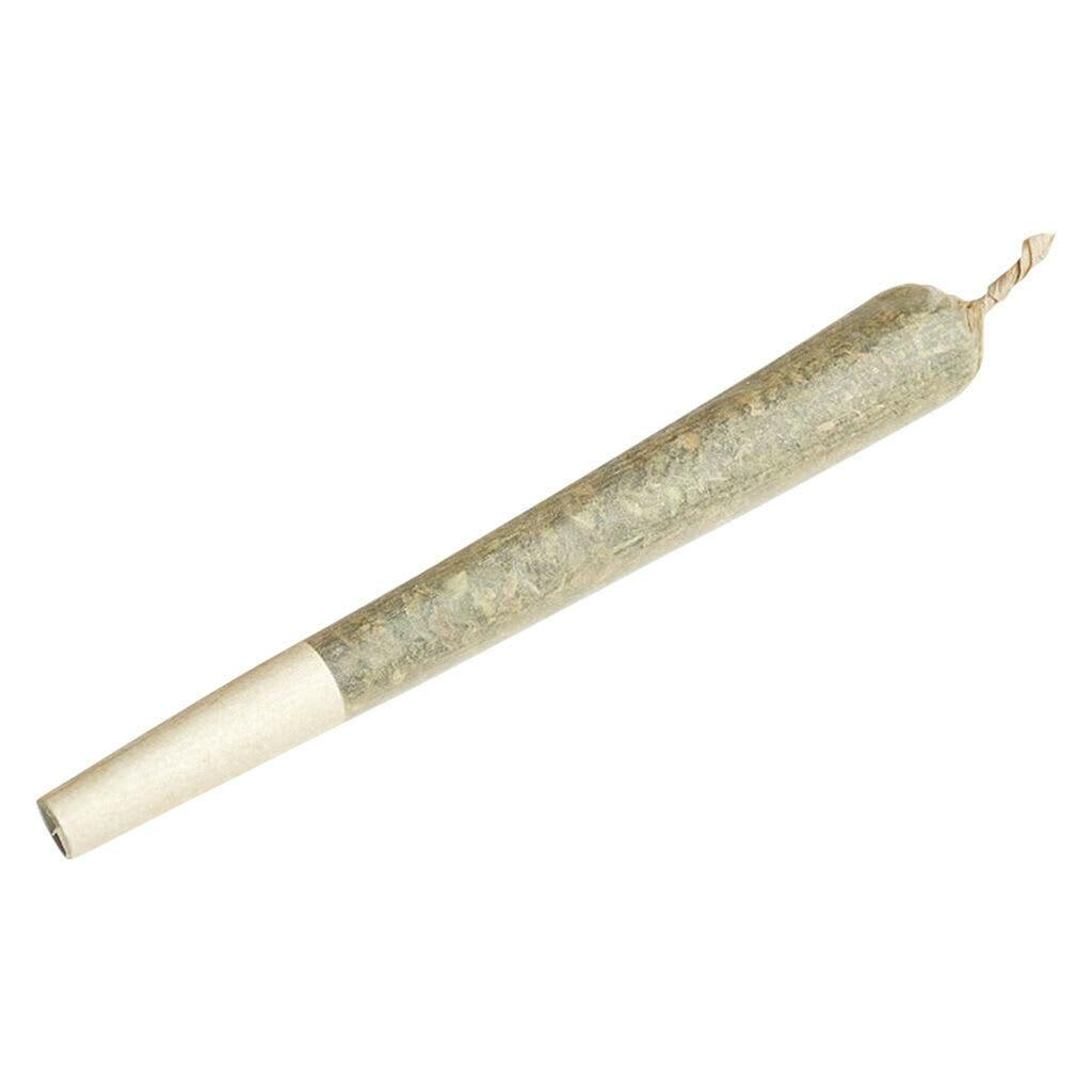TERP TOWN COLLECTIVE - Sherbhead Pre-Roll - Sherbhead Pre-Roll 1x1g Pre-Rolls