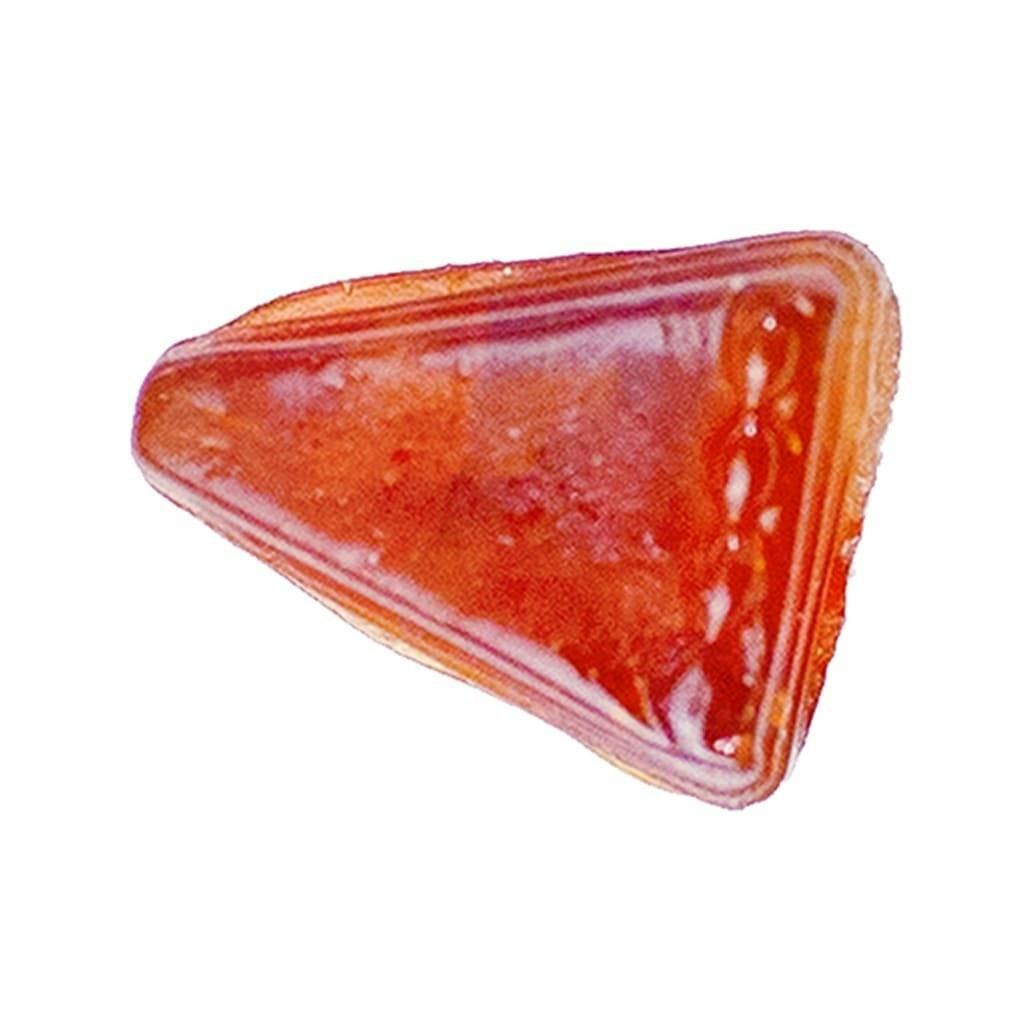 WAYNE PATRICK - Shatter Slice - Shatter Slice 1g Shatter