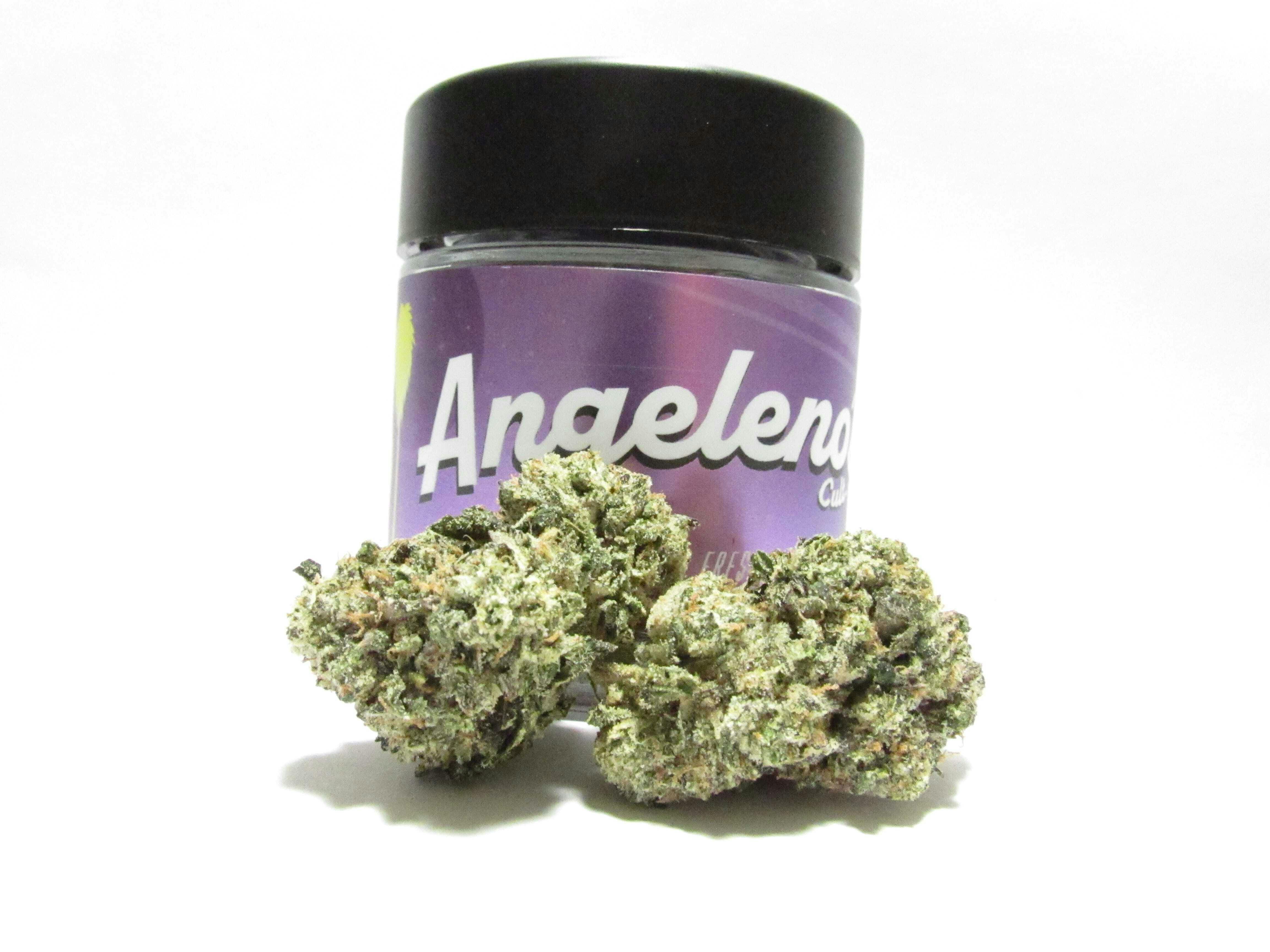 Angeleno's Cult - Angeleno's Cult 1/8 Blue Nerdz - Blue Nerdz