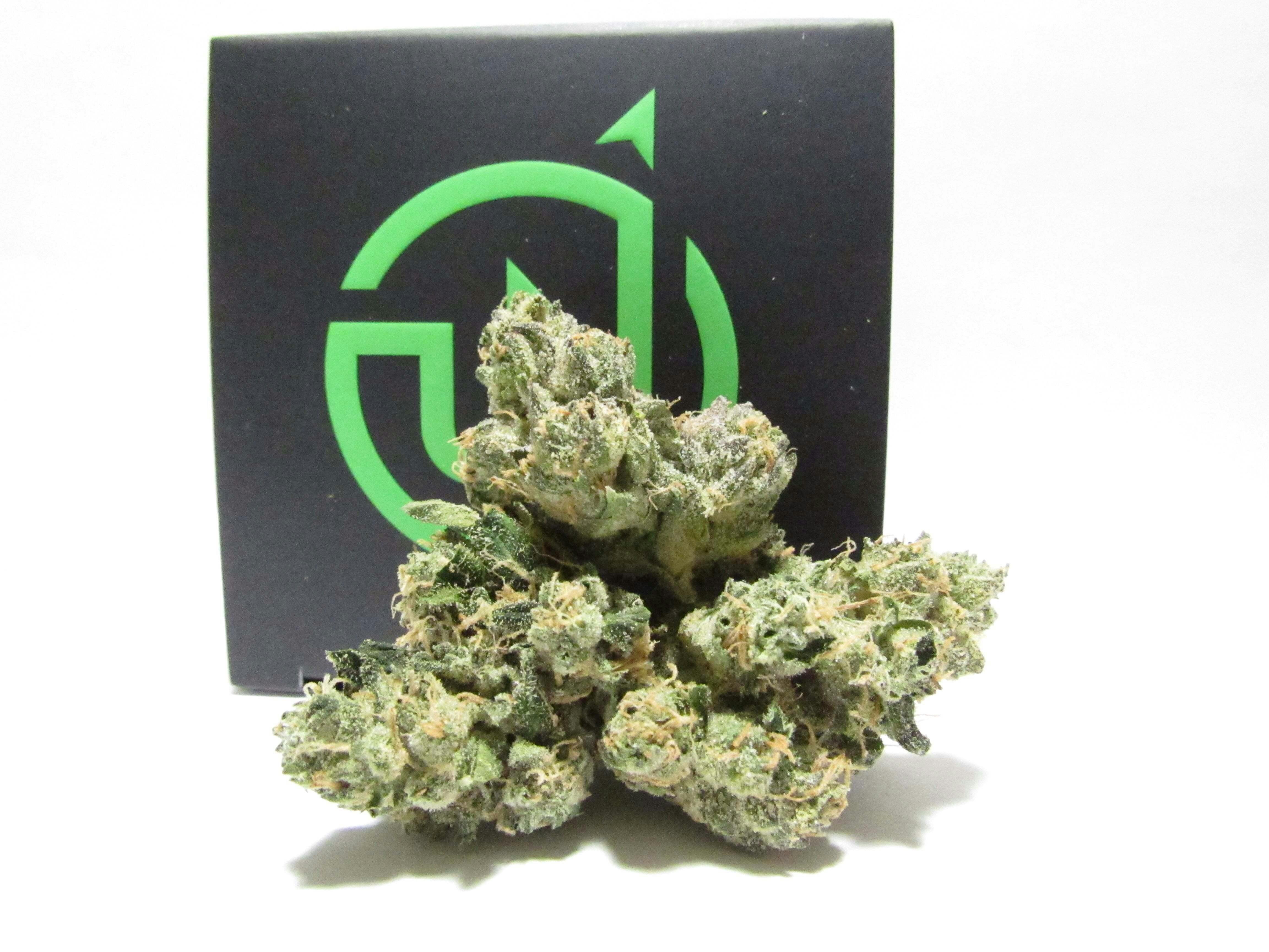 UpNorth - UpNorth 1/8 Chemlatto - Chemlatto