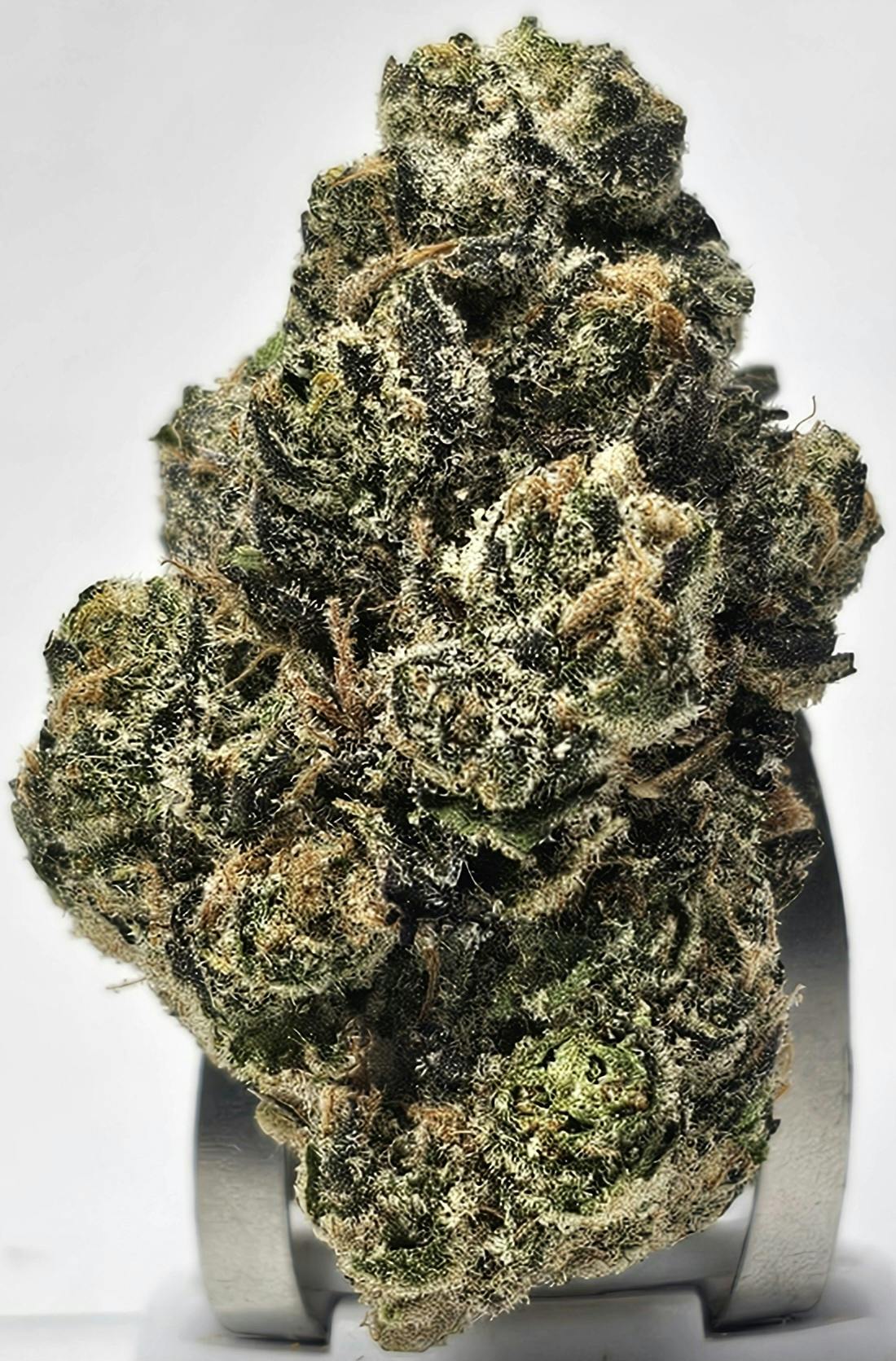 F5 Farms | Tropic Runtz (S) | Big Buds | 3.5g
