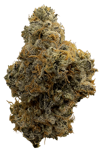 WEDDING CAKE | BIG BUDS | 3.5G by The Laughing Goat