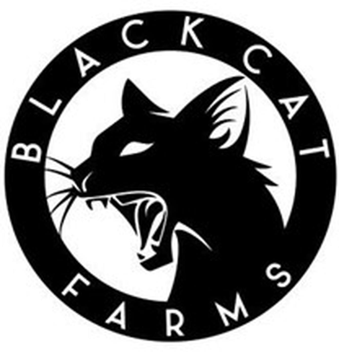 Zkittles Black Cat Pp