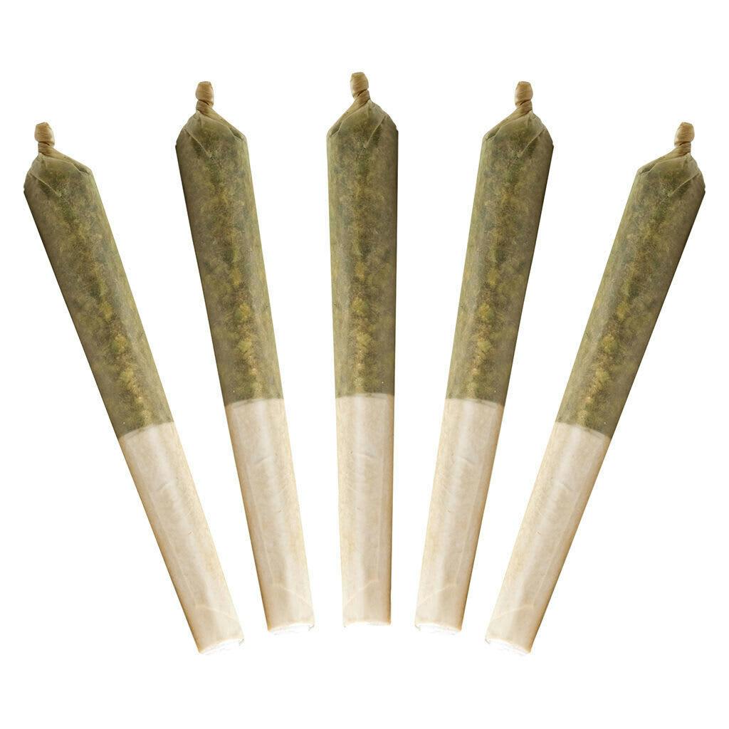 Lil Buddy Indica - 5x