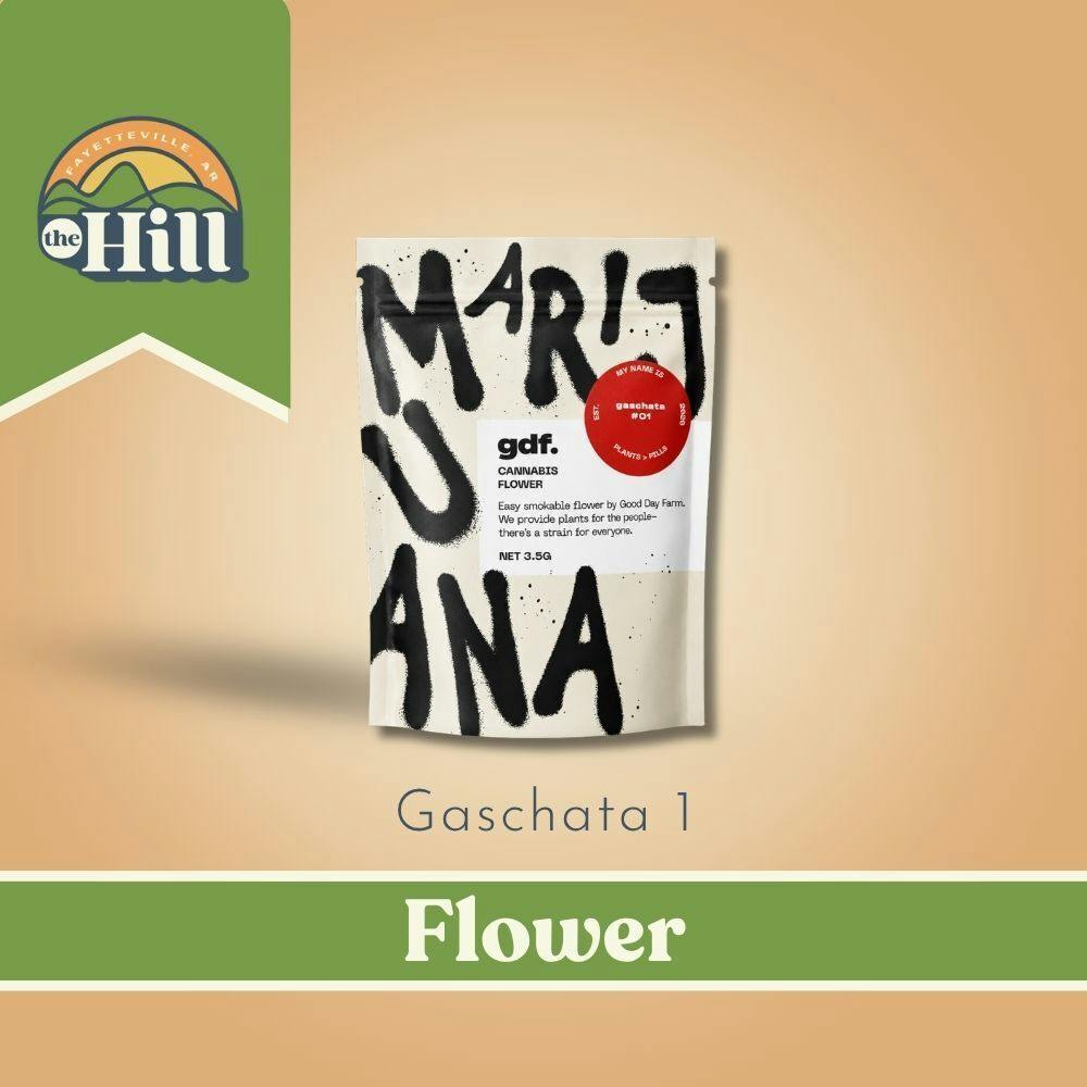 Gaschata 1