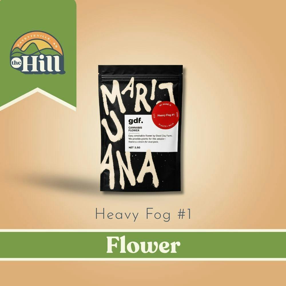 Heavy Fog #1