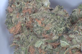 BLUE DREAM DISCOUNT EIGHTH (3.5 GRAMS)