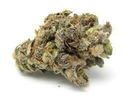 Flower/Buds Pre-Pack - Super Boof (H)