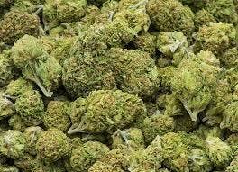 Flower/Buds Pre-Pack - Alien Runtz (H)