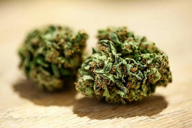 Flower/Buds Pre-Packaged - Lemon Cherry Delight (I)