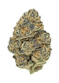 Flower/Buds- Pre-pack-White Runtz (H)