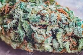 Flower/Buds- Prepackaged - Moon Boots