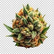 Flower/Buds - Pre-Packaged - Berry Fizz (I)