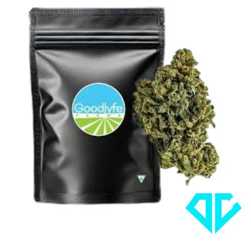 Goodlyfe Farms Nic the Bruiser 28 G