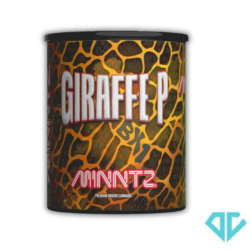 DELI - MINNTZ Giraffe P