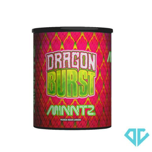 MINNTZ - Dragon Burst